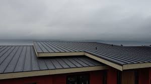 Steel Roofing in Centuria, WI